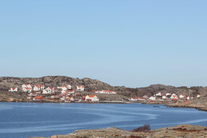 Stockevik