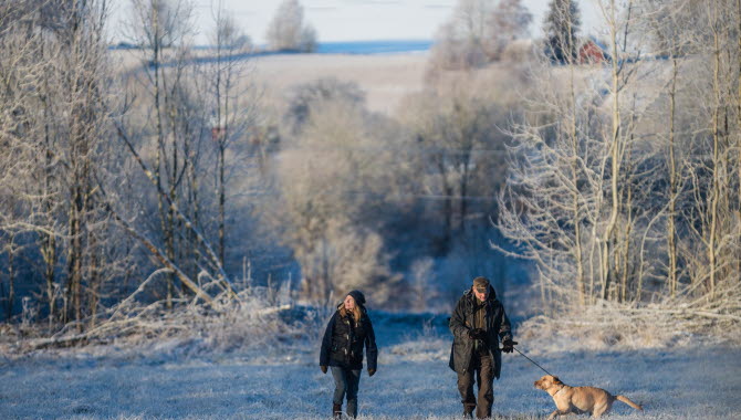 Två personer och en hund vandrar i ett frostigt landskap intill Hornborgasjön.