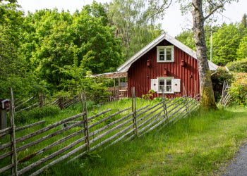 En bild på ett rött litet torp i grön, frodig omgivning. Utanför huset finns en gärdsgård.