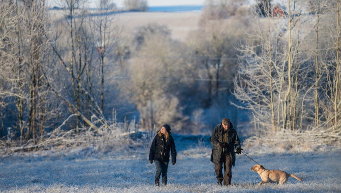 Två personer och en hund vandrar i ett frostigt landskap intill Hornborgasjön.