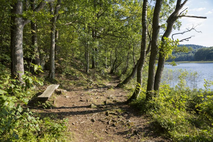 Labbera - Vandringsstigar på udden i Rådasjöns naturreservat