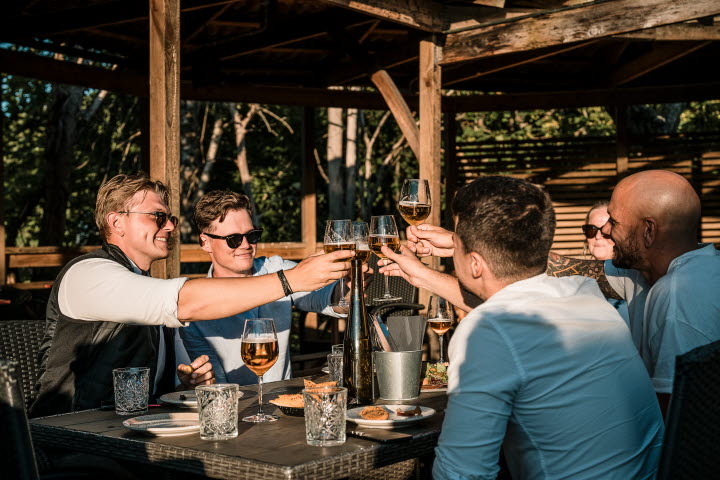 Group of people having a drink around a table.