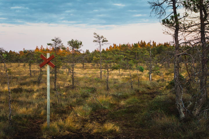 Naturreservat Blängsmossen/Blängs mosse
