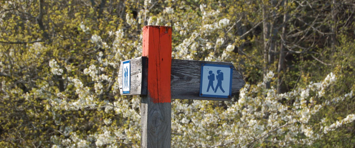 En skylt som visar vandringsleder på Kinnekulle.