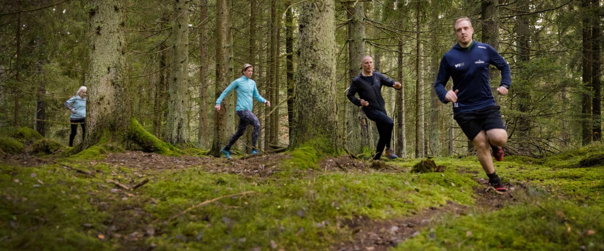 Fyra traillöpare utmed traillöpningsspår på Billingen Skövde