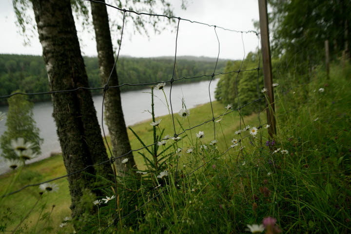 Mjölkudden, Edsleskog