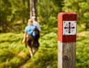 Två personer som vandrar på pilgrimsled genom skogen.