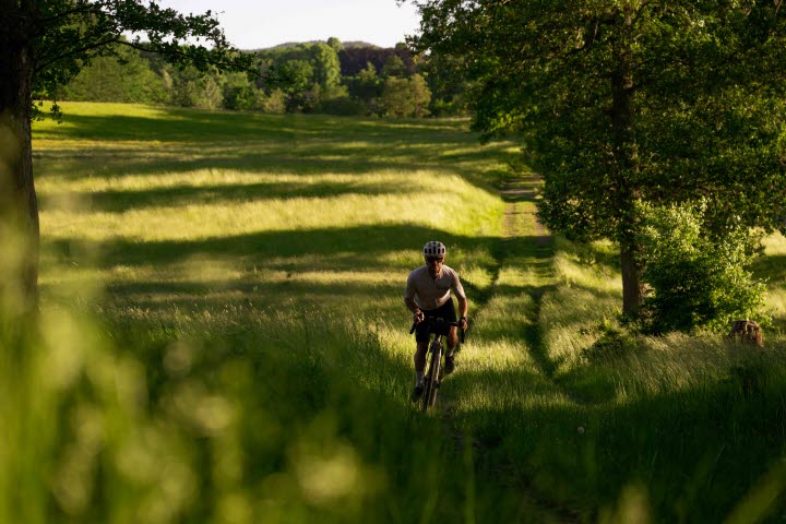 Dalboslättens ängar – 49 km