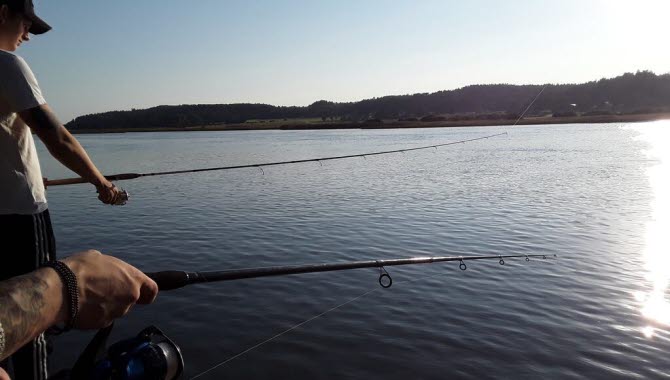 Fishing in the Lake Göta Älv, Båstorp