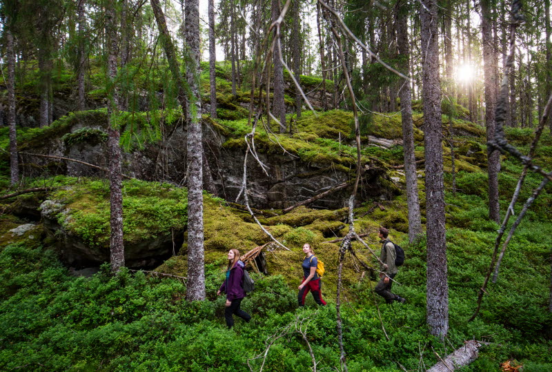 Tresticklan-Trollskog 01- Photo Cred Roger Borgelid.jpg
