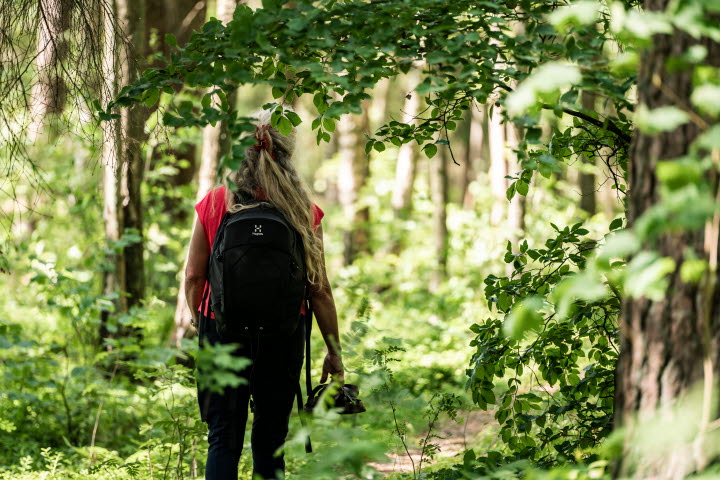 Kvinna vandrar bland gröna träd i skogen.