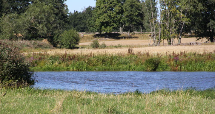 Karleby-Tidan Fiskevårdsområde