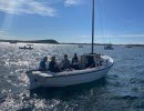 VM i Makrillmete