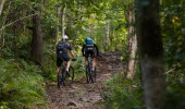 Två män cyklar mountainbike i den gröna skogen.