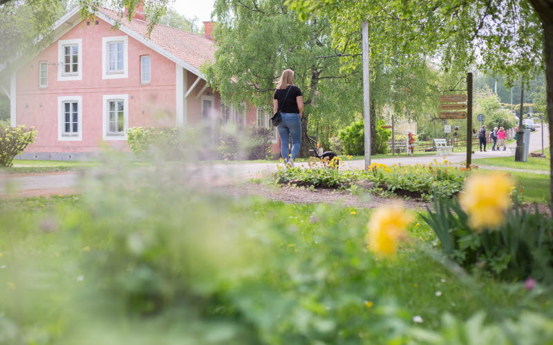 Gröna växter och blommor samt björkgrenar i förgrunden, putsat ljusrött stenhus med vita knutar i bakgrunden