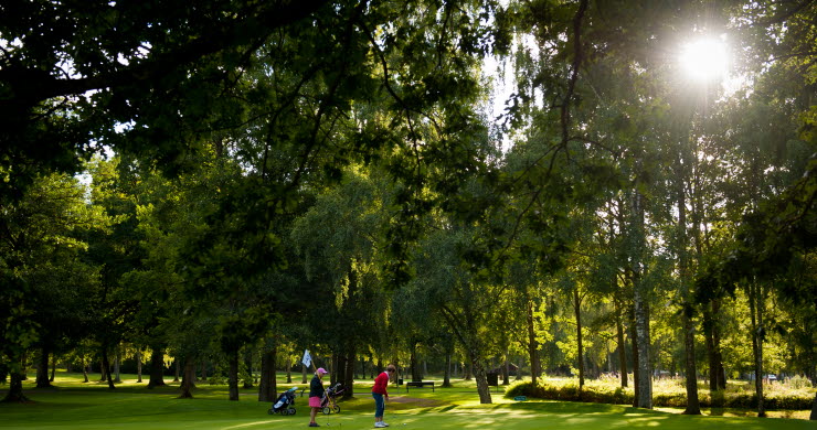 Två kvinnor står på en golfgreen en solig sommardag. 