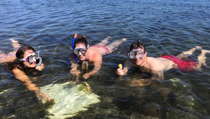 Snorkling i Kosterhavet