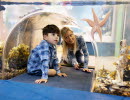 Children discover an aquarium.