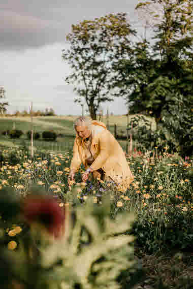 Fridas Blomster, Brämhult