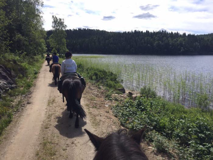 Skogs- och vildmarksritt till häst