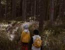 Kids walking in the woods in Karlsborg, Tiveden