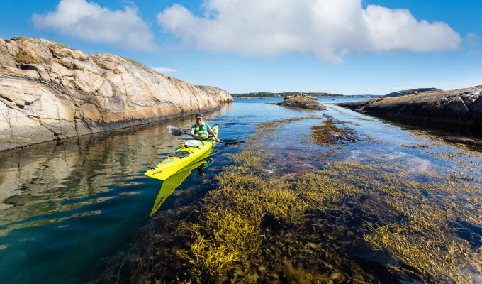 Kajak i Bohuslän