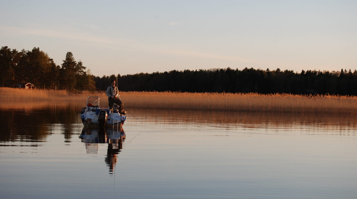 En man står och fiskar från en båt en fin sommarkväll i skymningen.