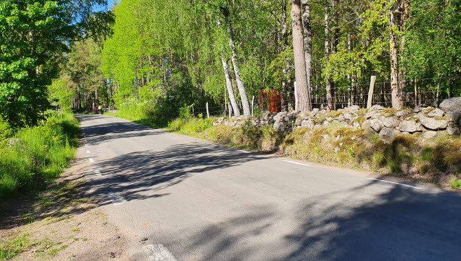 Landsväg som går genom lummig skog med stenmur längs kanten.