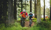 Två män cyklar på mountainbike i skogen