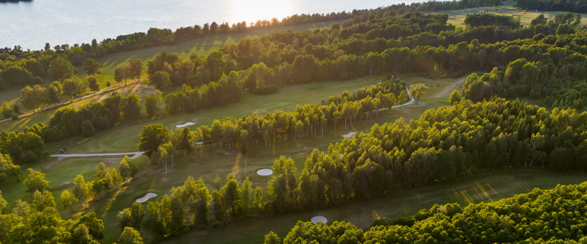 view over forest