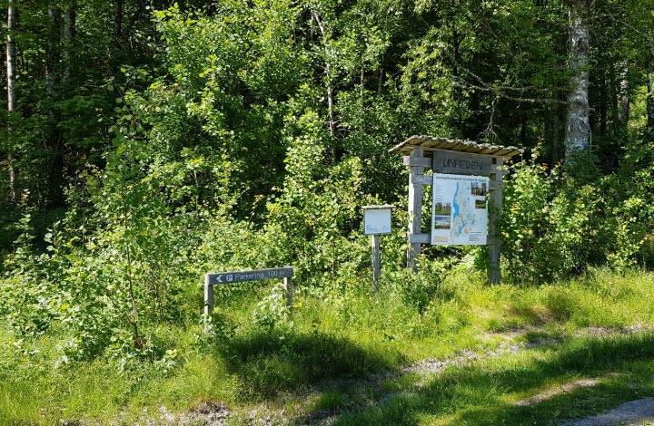 Linheden