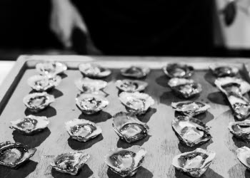 oysters on a tray