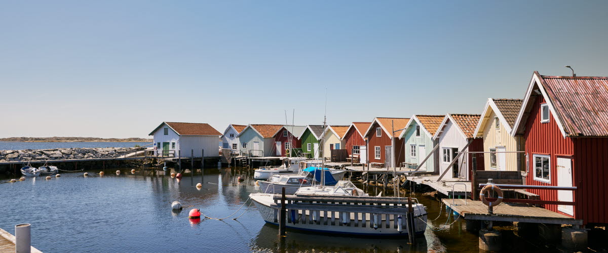 Two people are cycling on an island.