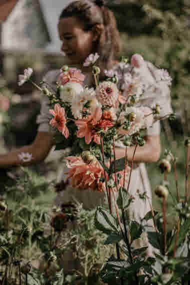 Fridas Blomster, Brämhult