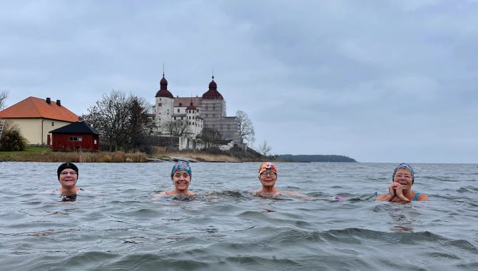 Fyra glada kvinnor som vinterbadar vid Läckö Slott. I bakgrunden skymtar slottet.