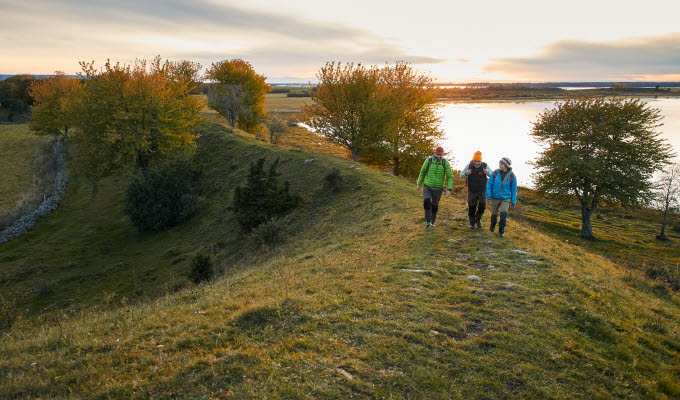 Vandring vid Hornborgasjön