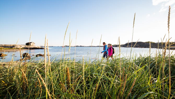I förgrunden syns vass och högt gräs, I bakgrunden syns två personer som promenerar längst en strand på Sydkoster.