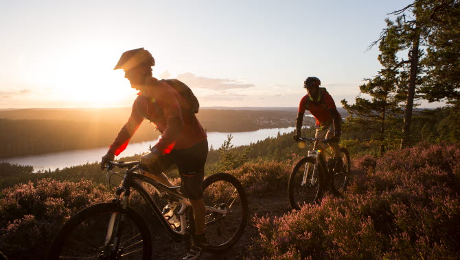 Two men on mountainbikes in the forrest