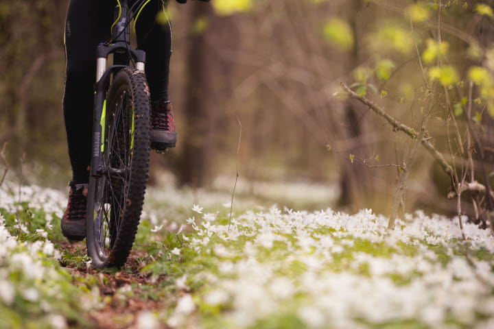 En närbild på en cykel bland vitsippor i skogen där man bara ser framdäcket och två fötter.