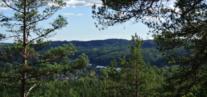 Motionsspåren Norra