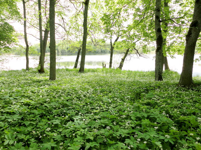 Höjentorp- Drottningkullen