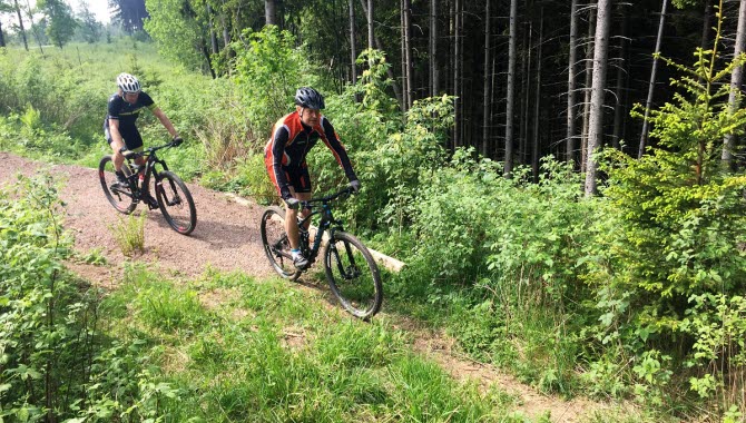 Två personer cyklar på sina Mountainbikes i ett skogslandskap.