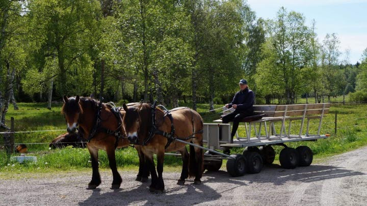 Nordsvenska upplevelser