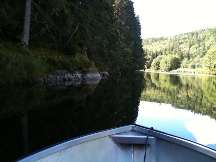 Tovtjärnsvattnet