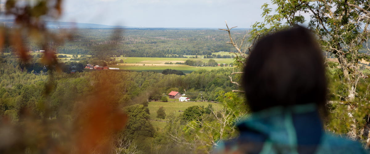 Ryggen av en kvinna som tittar ut över landskapet. 