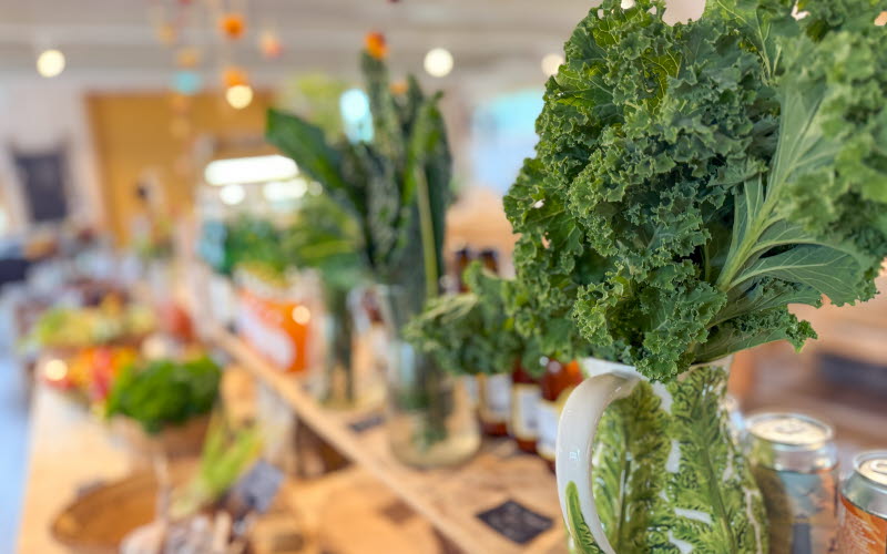 Hoga Saluhall på Tjörn