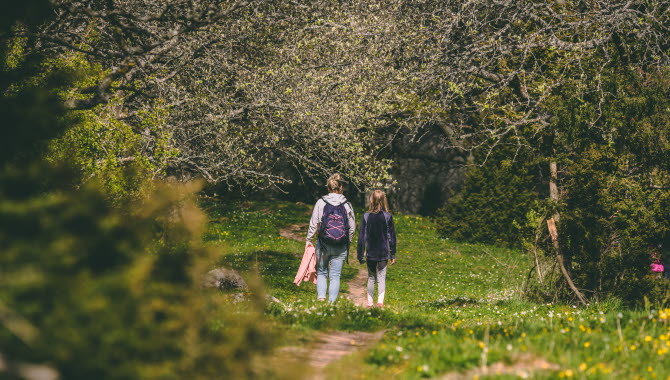 Två personer vandrar på en stig omgärdad av knoppande träd och vårblommor.