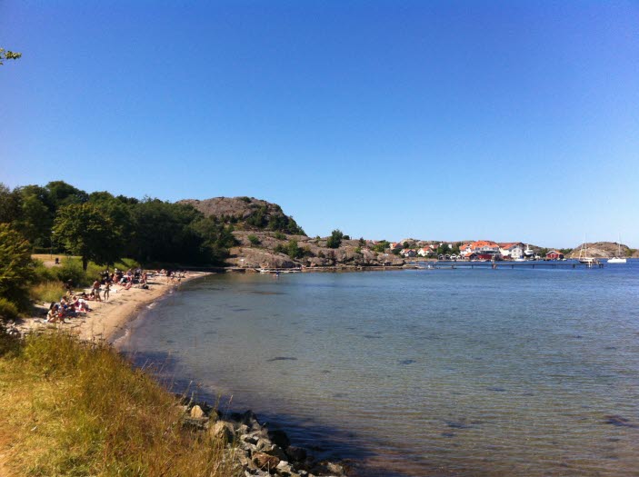 Bökevik