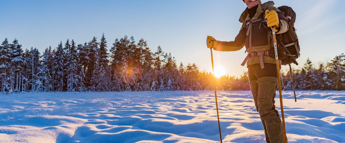 Soligt vinterlandskap där en person står i snön med skidor på fötterna och stavar i händerna. 