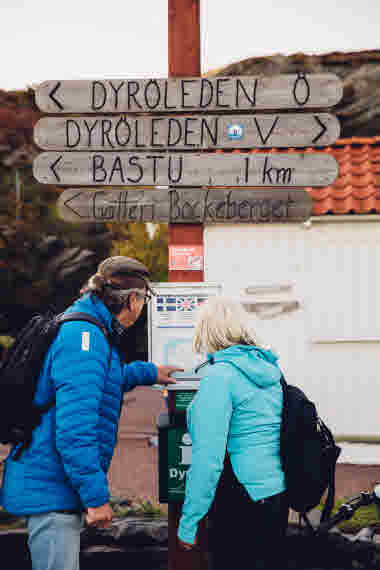 Dyrön